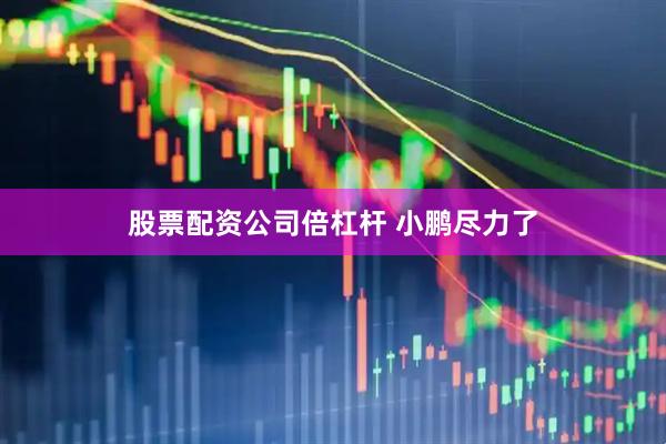 股票配资公司倍杠杆 小鹏尽力了