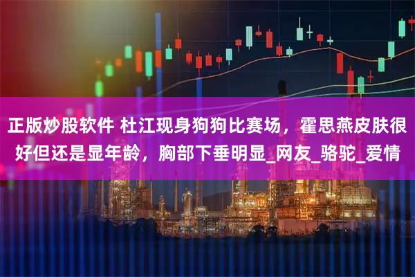 正版炒股软件 杜江现身狗狗比赛场，霍思燕皮肤很好但还是显年龄，胸部下垂明显_网友_骆驼_爱情