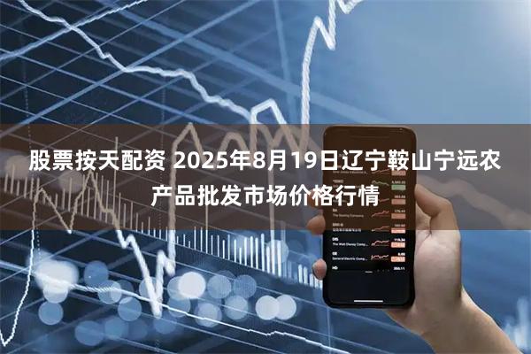 股票按天配资 2025年8月19日辽宁鞍山宁远农产品批发市场价格行情