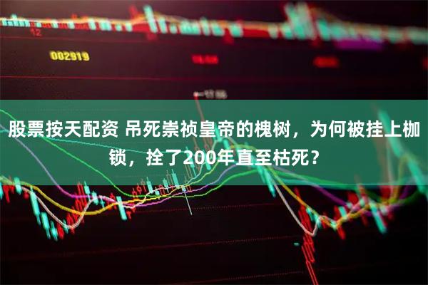 股票按天配资 吊死崇祯皇帝的槐树，为何被挂上枷锁，拴了200年直至枯死？