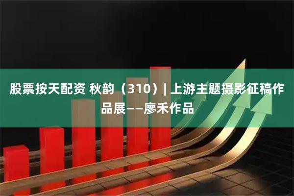 股票按天配资 秋韵（310）| 上游主题摄影征稿作品展——廖禾作品